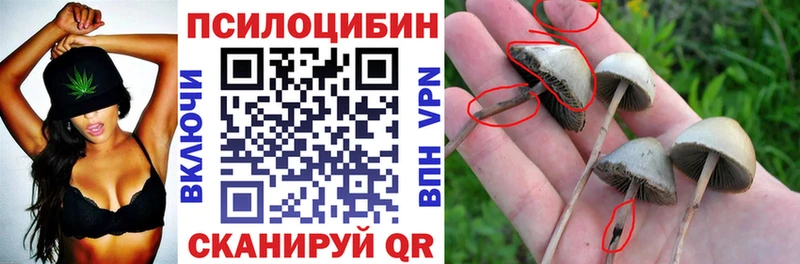 Псилоцибиновые грибы мухоморы  Купить закладки  Отрадный 